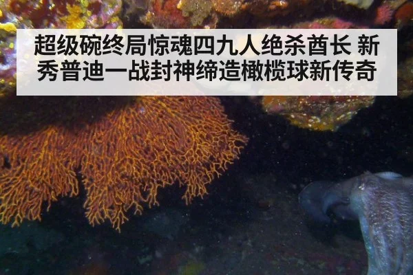 超级碗终局惊魂四九人绝杀酋长 新秀普迪一战封神缔造橄榄球新传奇