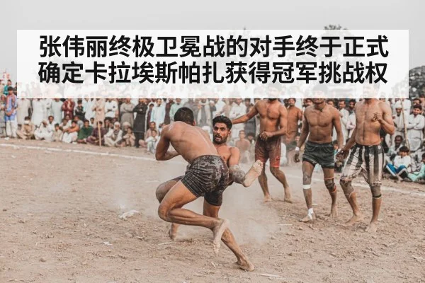 wrestling match